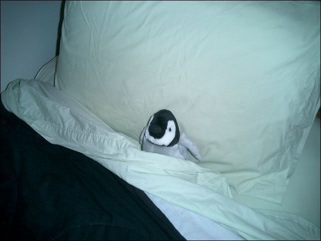 PenguininBed.jpg