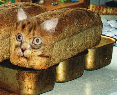 cat_bread.jpg