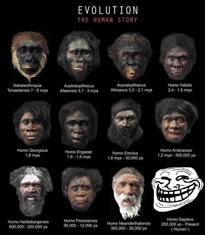 evolution_zpsd8208f71.jpg