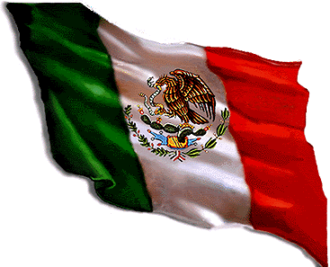 bandera.gif bandera mexicana image by amandadora22