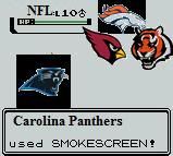 Panthers2.jpg