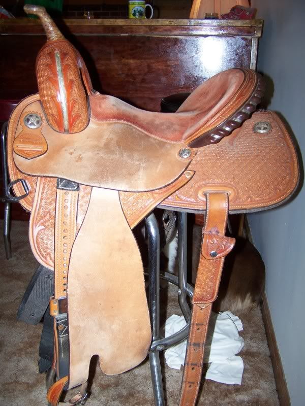 debra sibley saddle