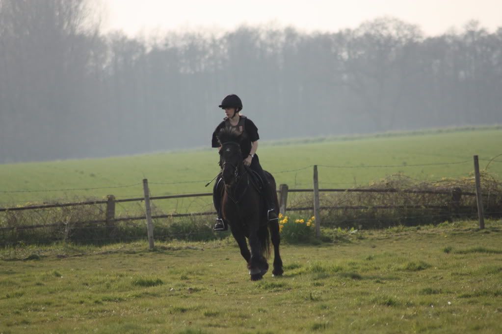 Adults Riding Ponies