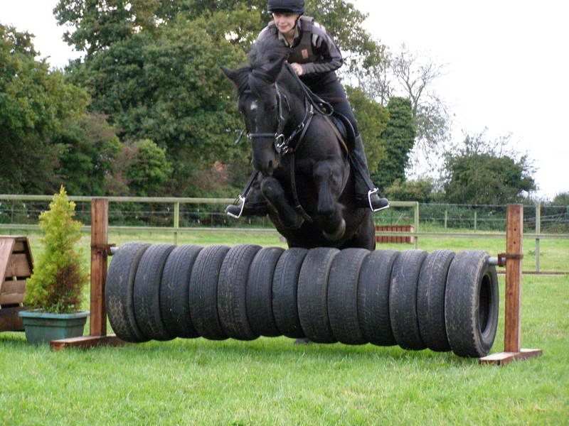 plastic/portable xc jumps