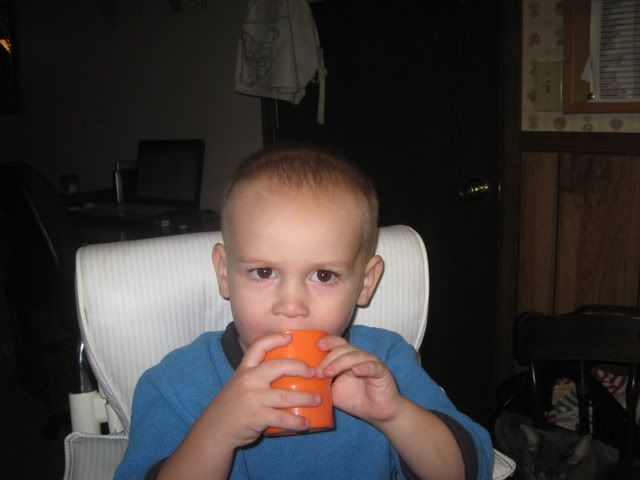 Photobucket Image Hosting