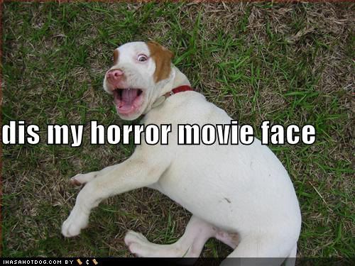 funny-dog-pictures-horror-movie-fac.jpg
