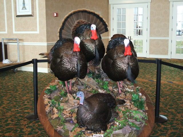 2007_0223NWTF0007.jpg