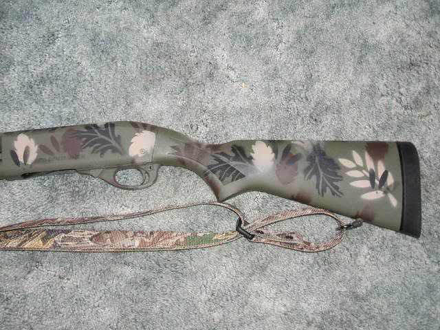 2007_0303gun0002.jpg