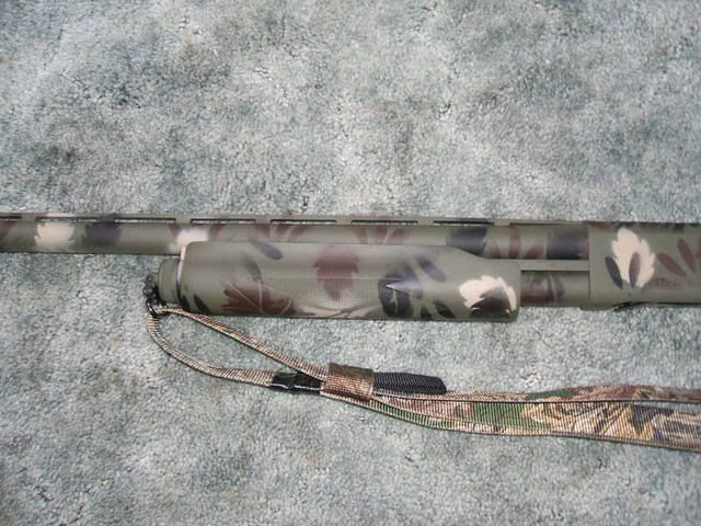 2007_0303gun0004.jpg
