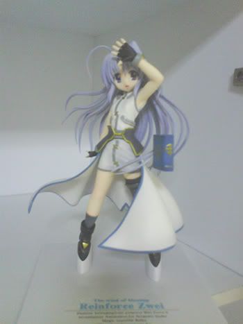 Forum Image: http://i118.photobucket.com/albums/o91/Frostea/ReinforceFigure.jpg