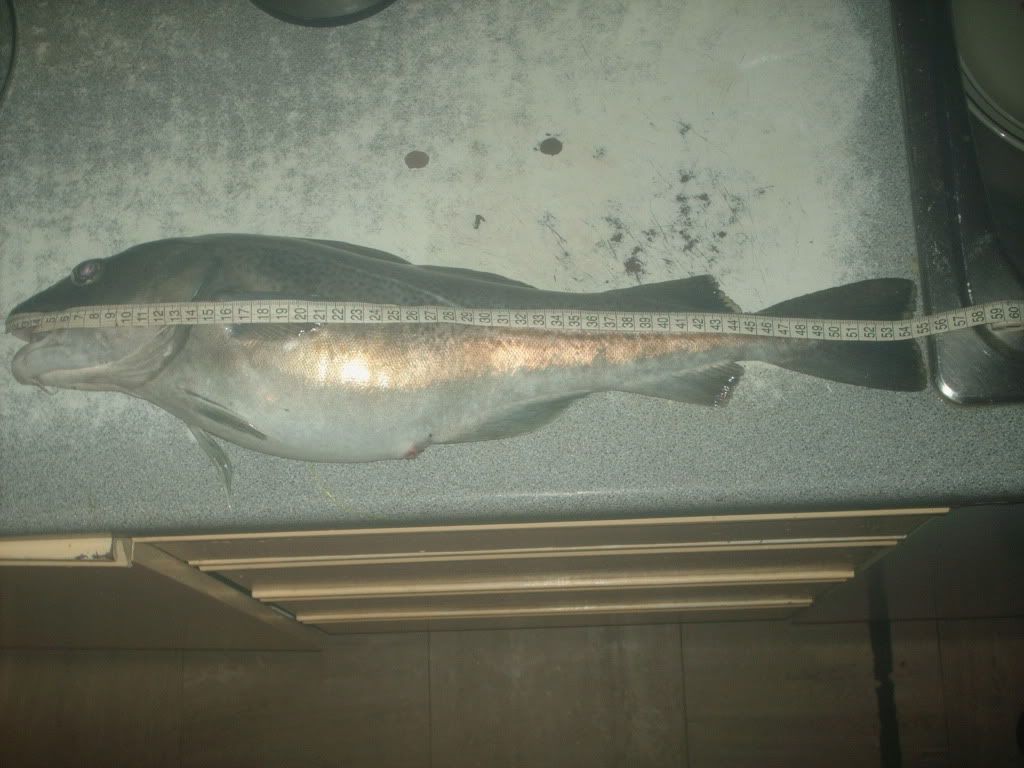PICT0182.jpg