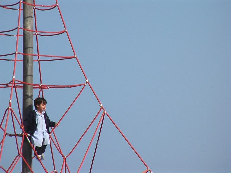 Photo Sharing and Video Hosting at Photobucket