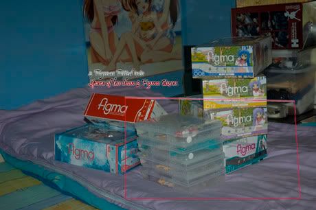 Transparent Plastic Cases (TPC)