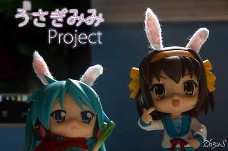 Rabbit Ears Project!