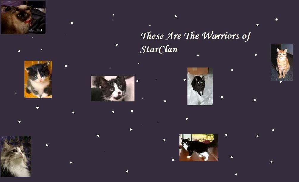 Warriors cats-Wallpaper Desktop Background