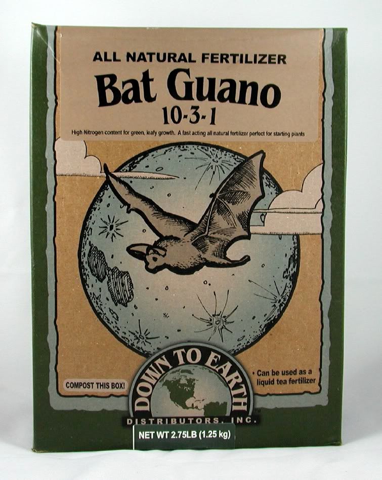 batGuano1031.jpg