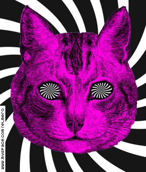 hypnocat.gif