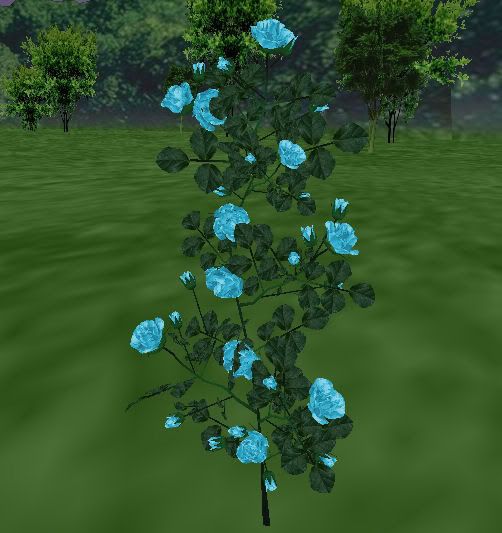 ARC Bright Blue Roses