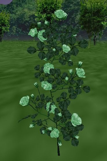 ARC Faded Green Roses