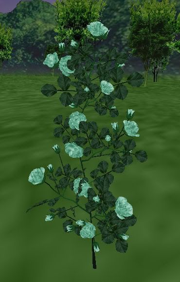 ARC Faded Teal Roses