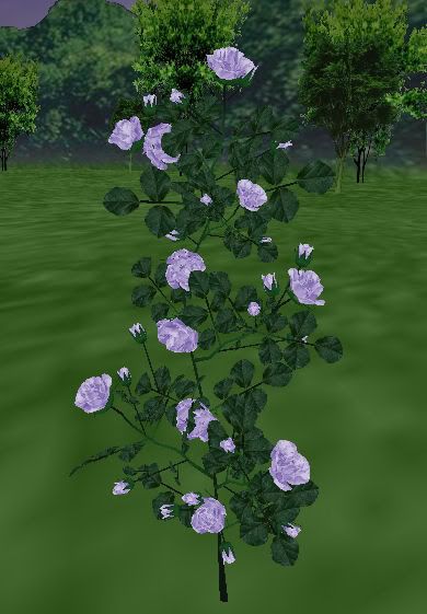 ARC Soft Purple Roses