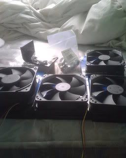 8fans.jpg