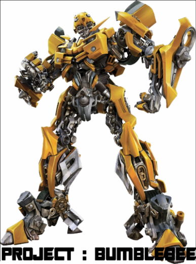 bumblebee-1.png