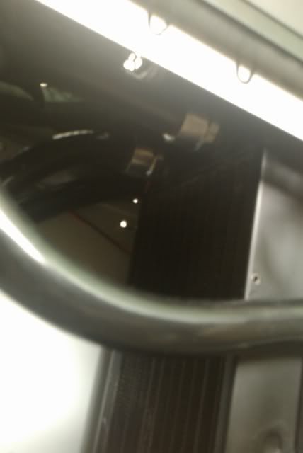 IMAG0065.jpg