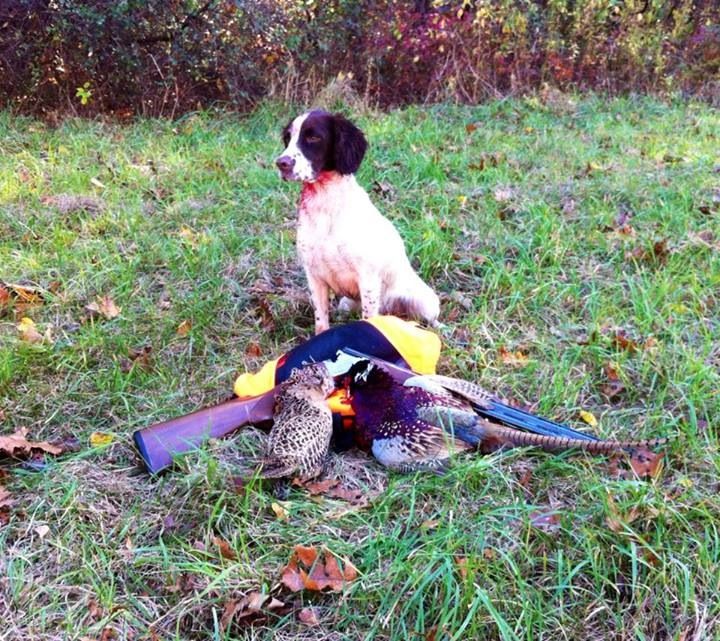 51ade7449df0833d27ac44d96ee3927e_zpsfc9f