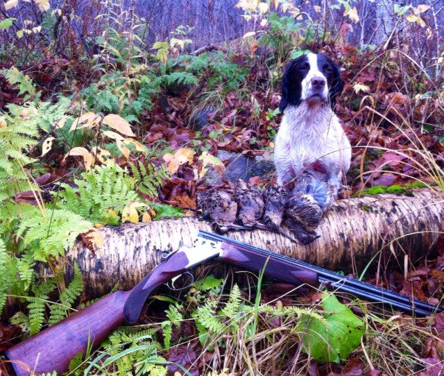 855fd7dae15d685f4c2e95018f1d0b7e_zps6e71