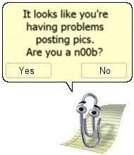 clippy_noob.jpg