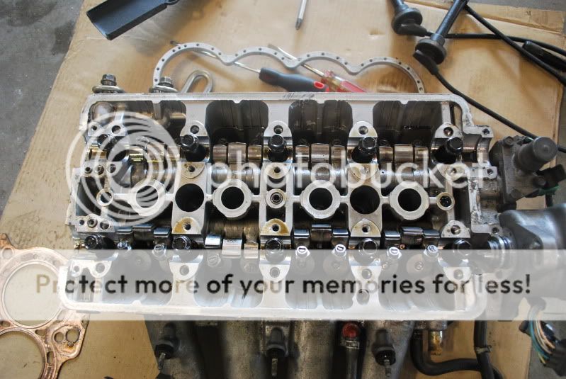 Complete B16 Head Tampa Racing