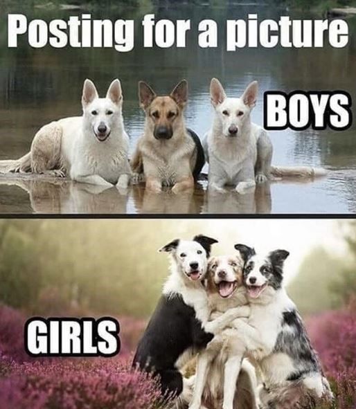  photo mammal-posting-for-a-picture-boys-girls.jpg