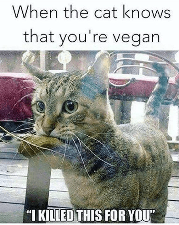  photo vegan.png