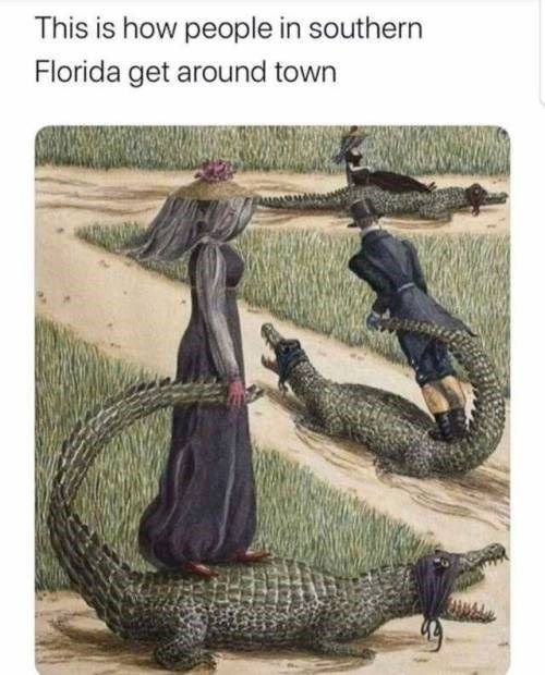  photo Florida folks.jpg