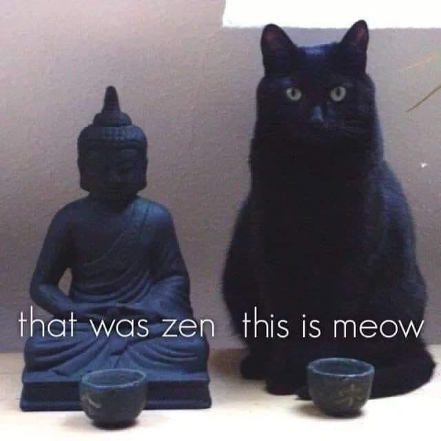 photo cat-that-was-zen-this-is-meow 2.jpg