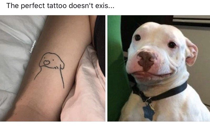  photo dog-perfect-tattoo-doesnt-exis 2.jpg