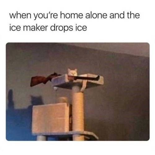  photo text-when-youre-home-alone-and-the-ice-maker-drops-ice.jpg