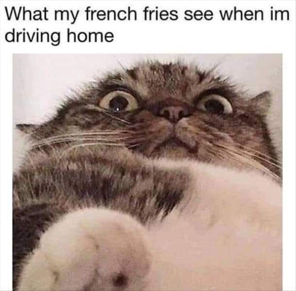  photo what-my-french-fries-see-when-im-driving-home.jpg