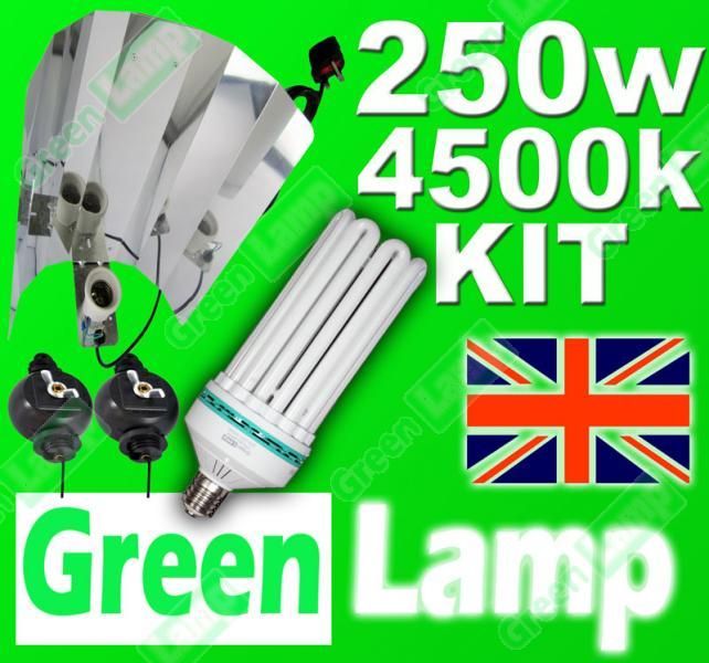 Yoyos E40 GES CFL Wing Reflector with 250w 4500k Lamp Barn Industrial Lighting