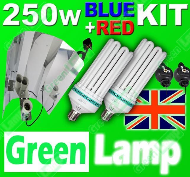 Yoyos E40 GES CFL Wing Reflector with 250w 4500k Lamp Barn Industrial Lighting