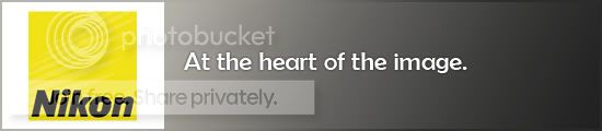 1327034090.jpg