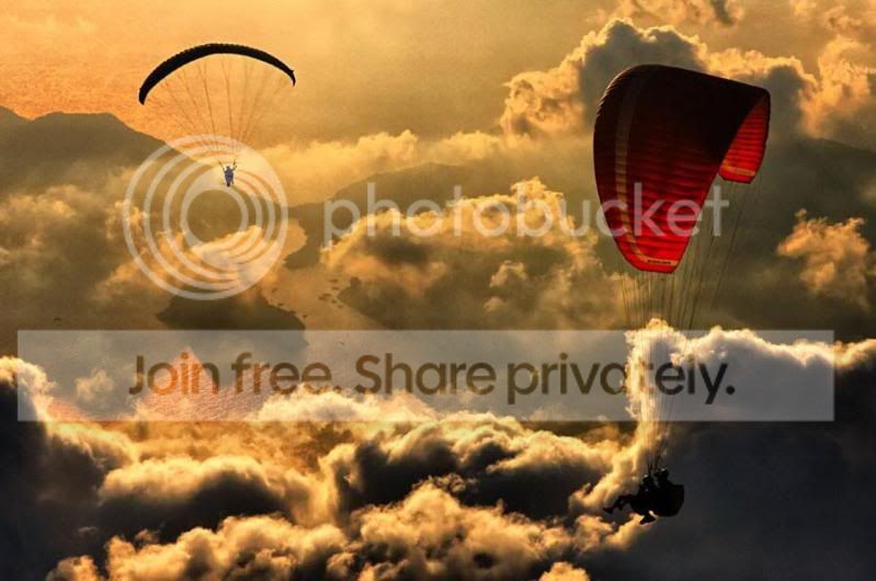 5paragliding.jpg