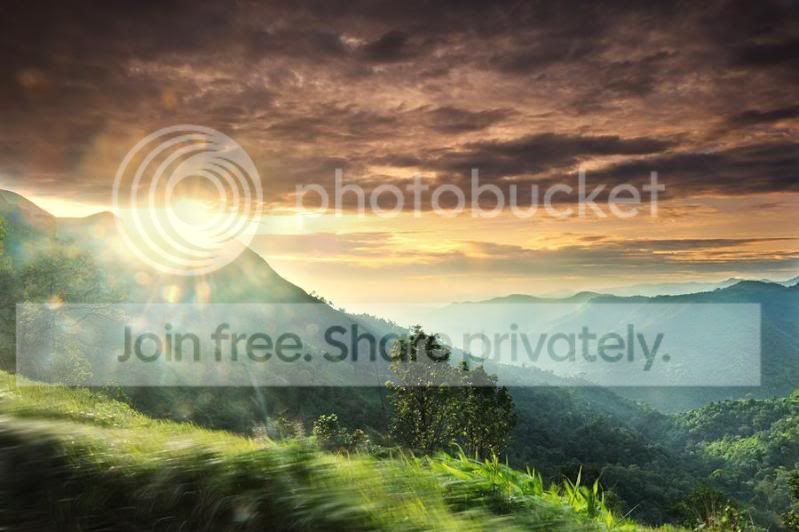 9sunshineaftertherain.jpg