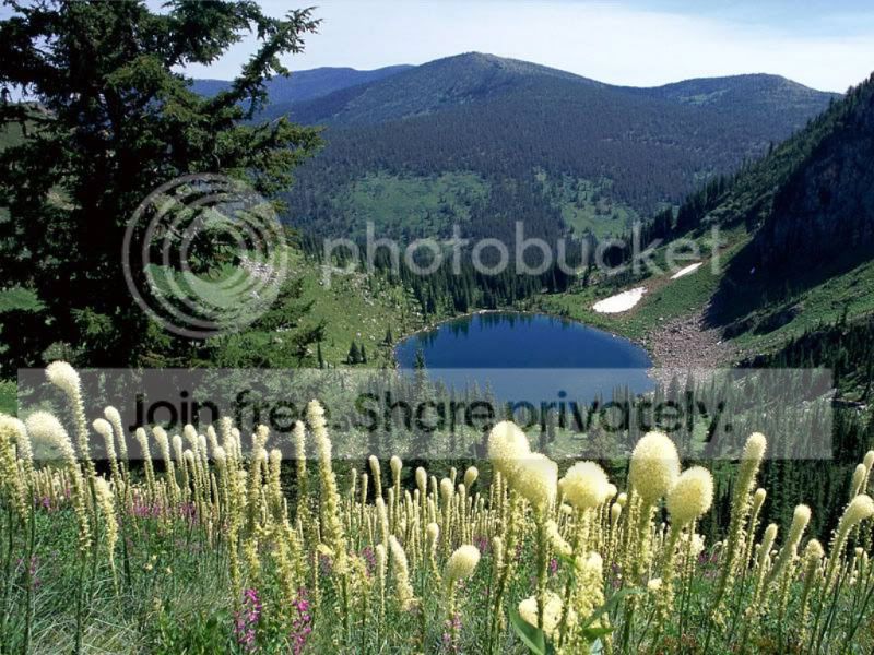 Nature-wallpaper.jpg