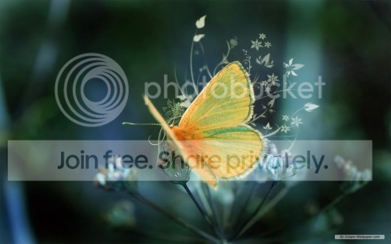 free-wallpaper-5.jpg