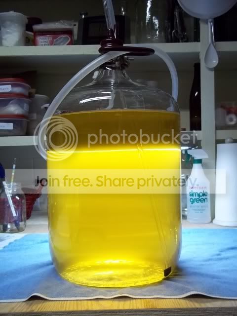 REVIEW: *Whole House Wine Filtering* | Winemaking Talk - Winemaking ...